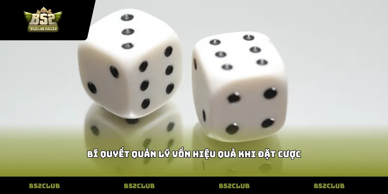 Bí quyết quản lý vốn hiệu quả khi đặt cược